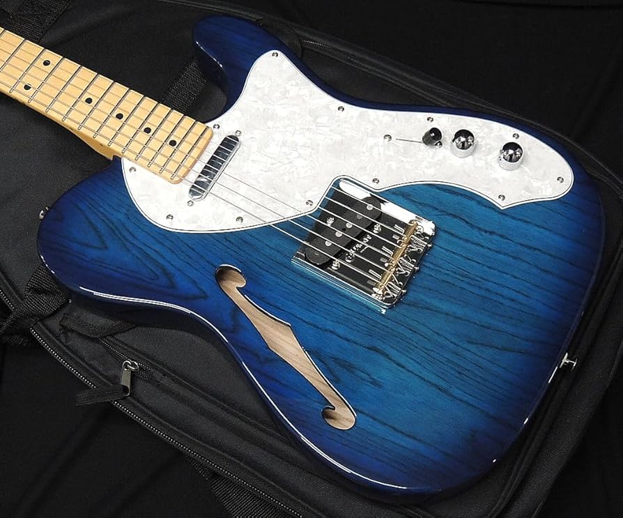 FUJIGEN NTE10MAHT テレキャスターシンライン モデル FUJIGEN NTE10MAHT テレキャスターシンライン モデル FgN